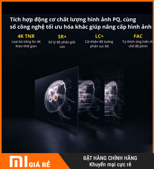 tivi xiaomi ea55 55 inch
